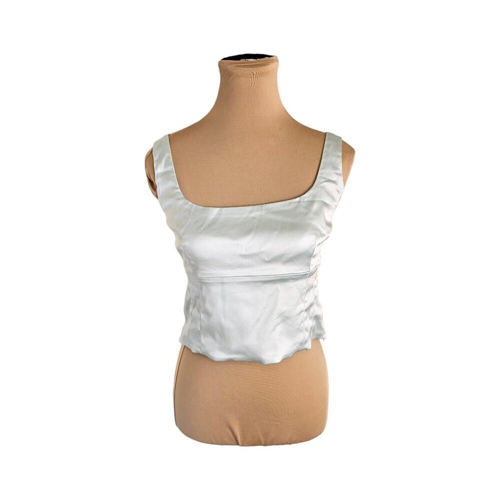 Wilfred Aritzia Light Blue Shine Satin Bustier Cropped Top Sz L